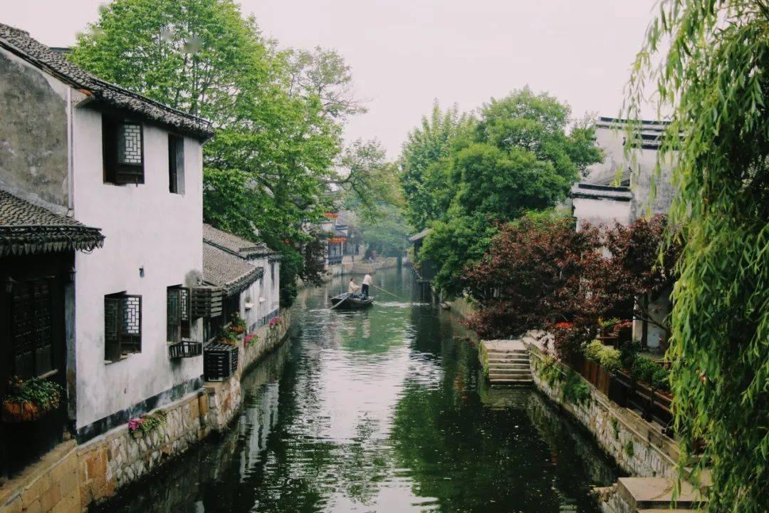 五彩鹦鹉救援